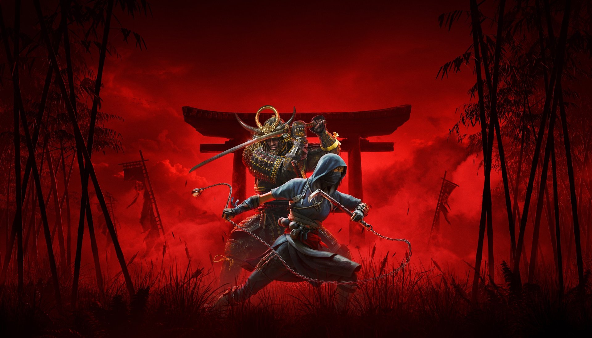 Account profile banner
