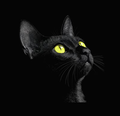 Digital_Creative avatar