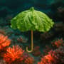 Prompt image