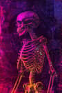 Prompt image