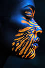 Prompt image